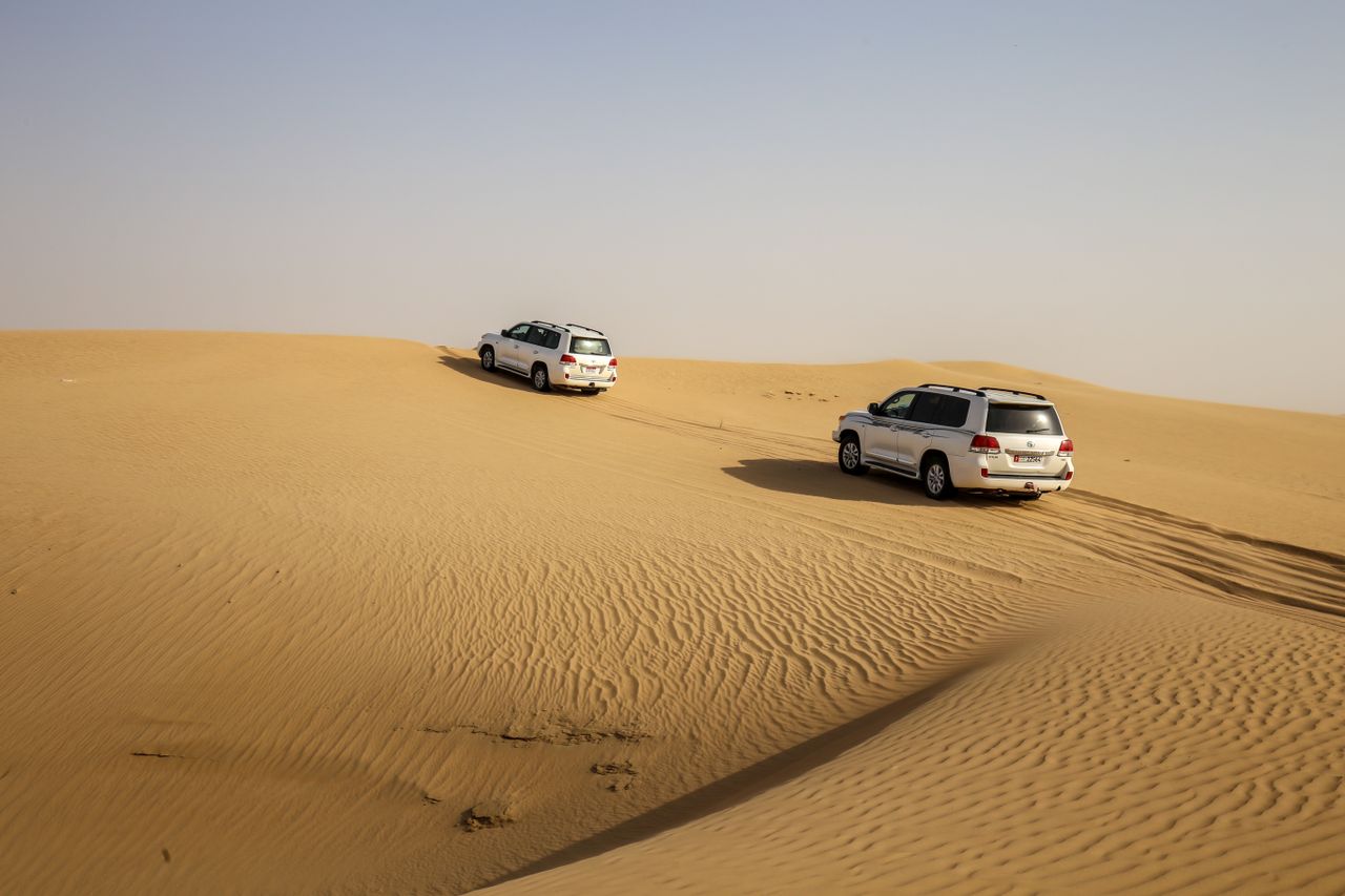 Classic Morning Desert Safari Tour