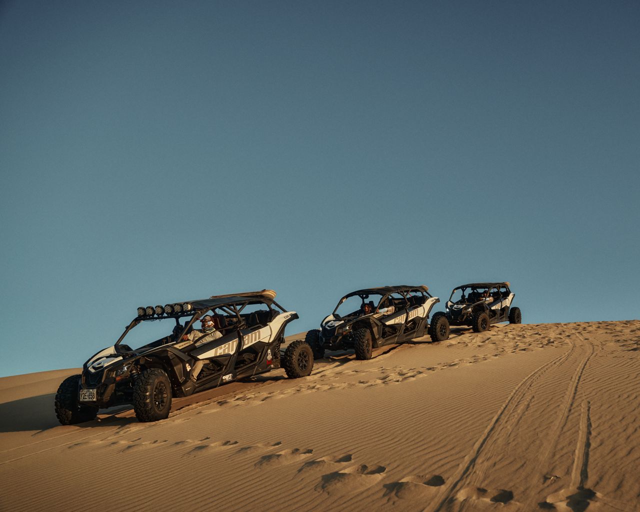 Dune Buggy + Evening Safari Combo