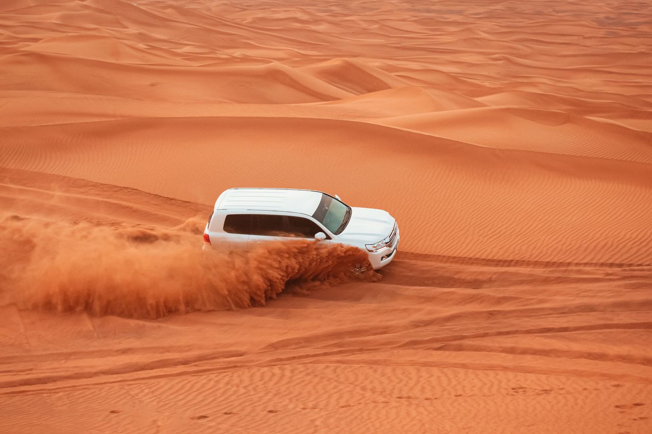 Standard Evening Desert Safari Tour